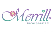 logo designing,logo designing packages,logo designing services,logo designing company
